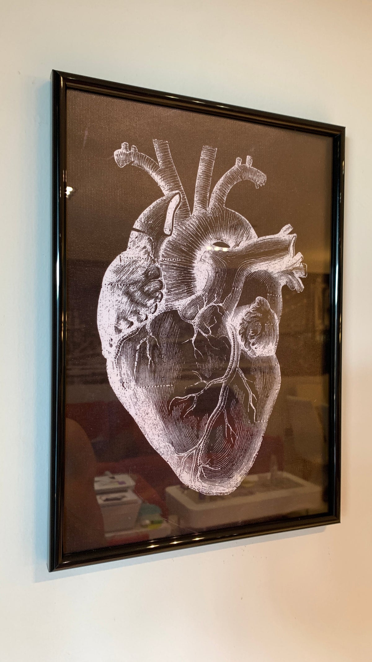 Anatomy Art