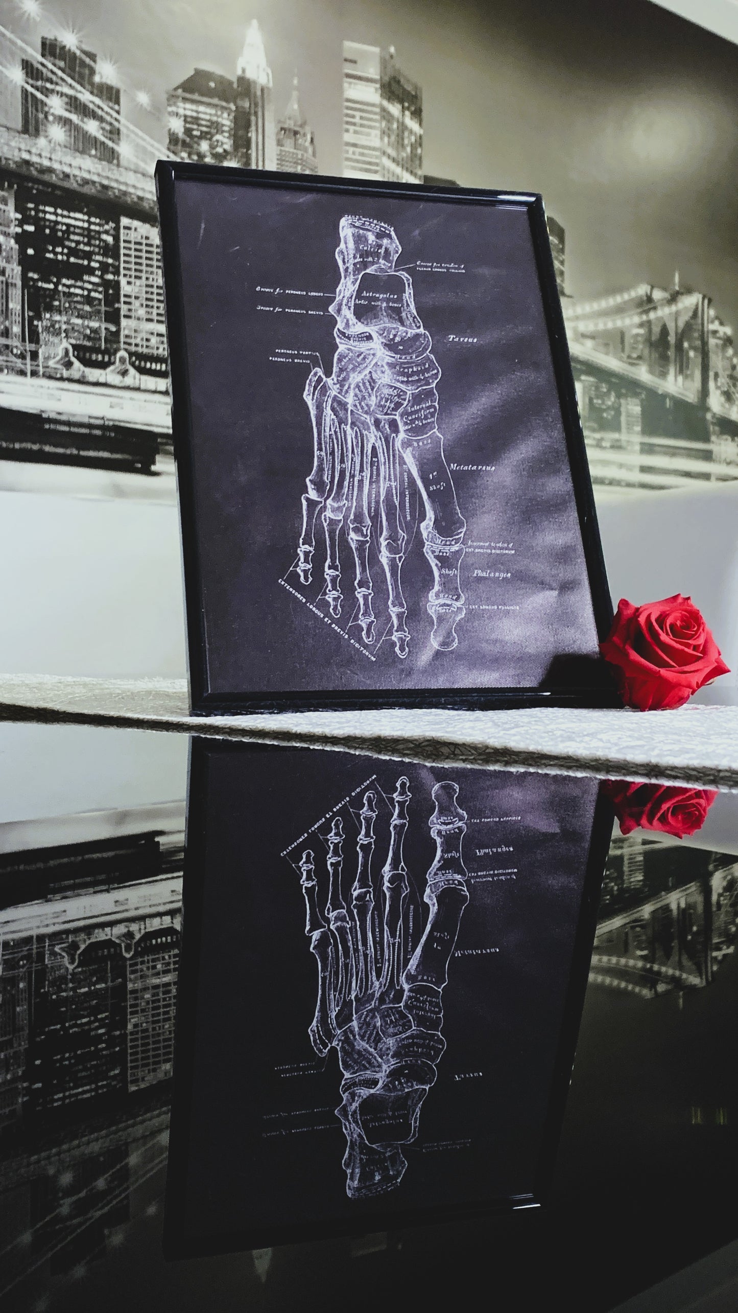 Cuadro Anatómico Vintage – Estructura Ósea del Pie Humano 1:1 | Limited Edition Anatomical Foot Bone Art