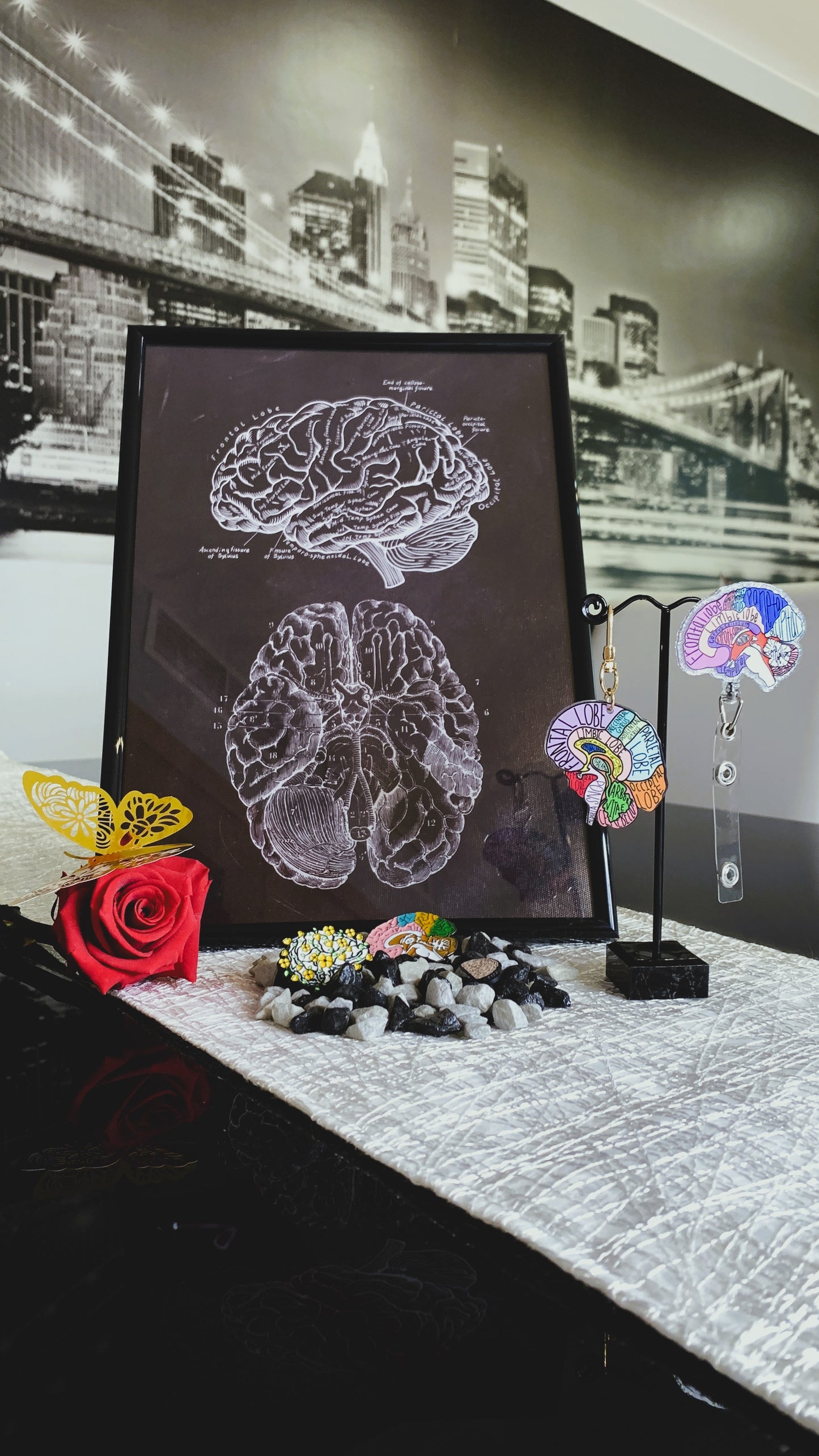 Set de Lujo Anatomía Cerebral – Edición Limitada (1/1) | Porta-Credencial Retráctil, Llavero, Póster en Marco & 3 Pins Esmaltados