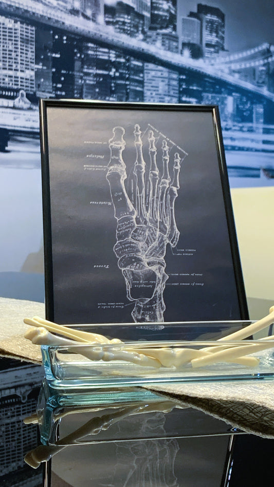 Set de Arte Anatómico del Pie + Bolígrafos de Huesos Humanos (5 uds) 1:1 | Limited Edition Anatomical Foot Art & Human Bone Pens