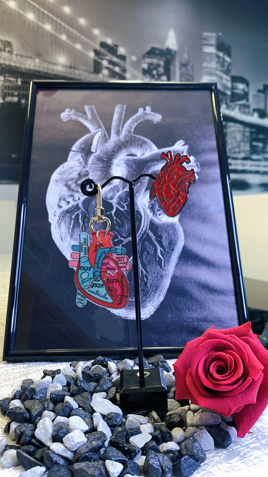 Pack Corazón Anatómico | Anatomical Heart Keychain + Enamel Pin Set 1:1 Limited Edition