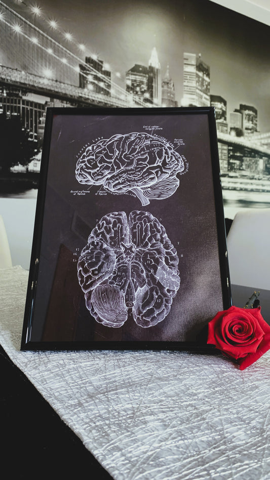 Póster Vintage de Anatomía Cerebral con Marco – Arte Médico Elegante para Doctores, Enfermeras & Estudiantes | Regalo Único de Neurociencia