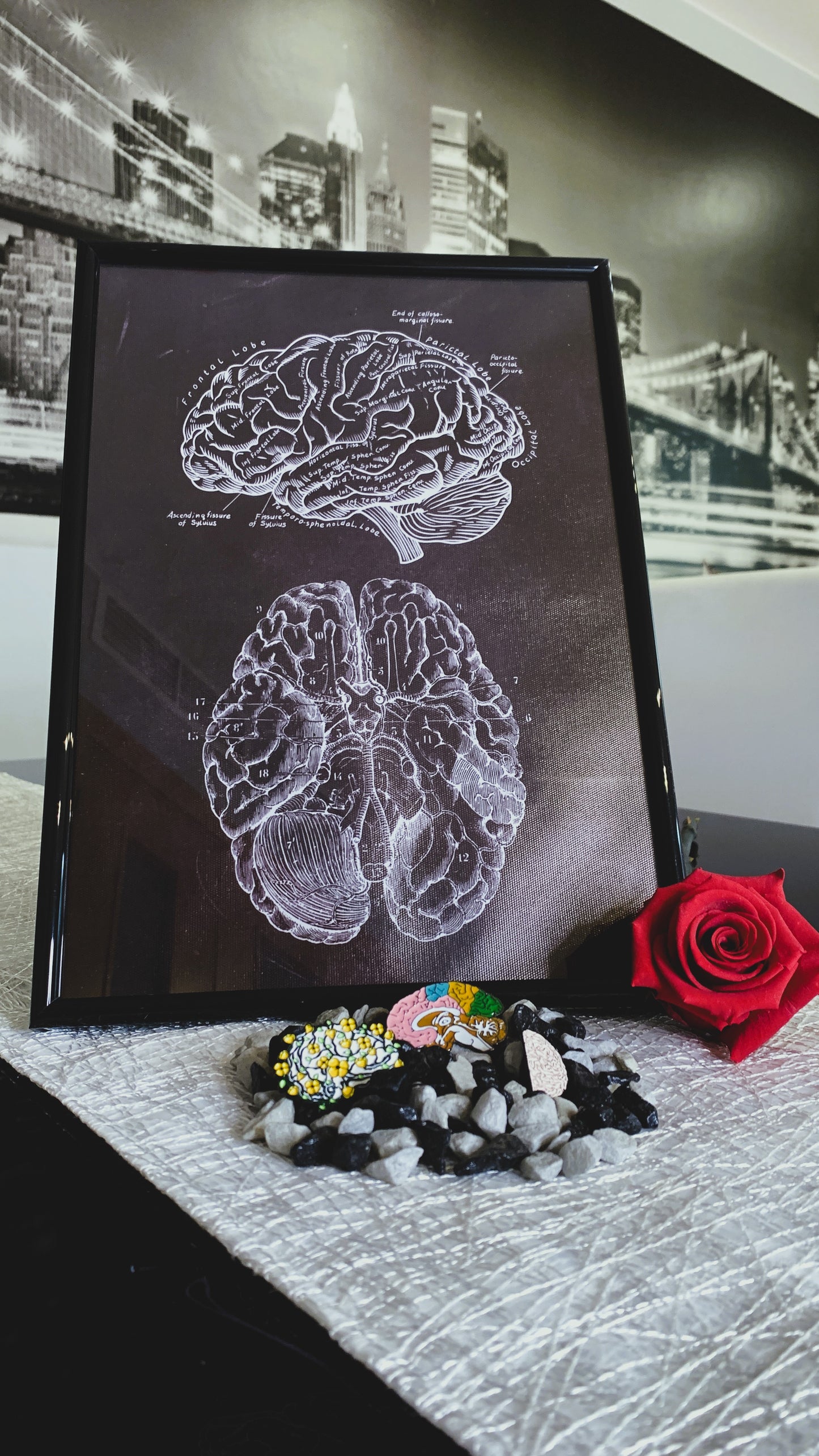 Bundle Vintage de Anatomía Cerebral – Póster en Marco + Set de 3 Pins Esmaltados | Arte Médico & Regalo Estudiantes de Neurociencia