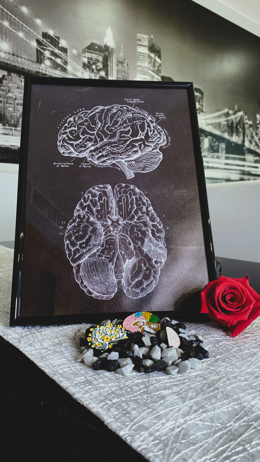 Bundle Vintage de Anatomía Cerebral – Póster en Marco + Set de 3 Pins Esmaltados | Arte Médico & Regalo Estudiantes de Neurociencia