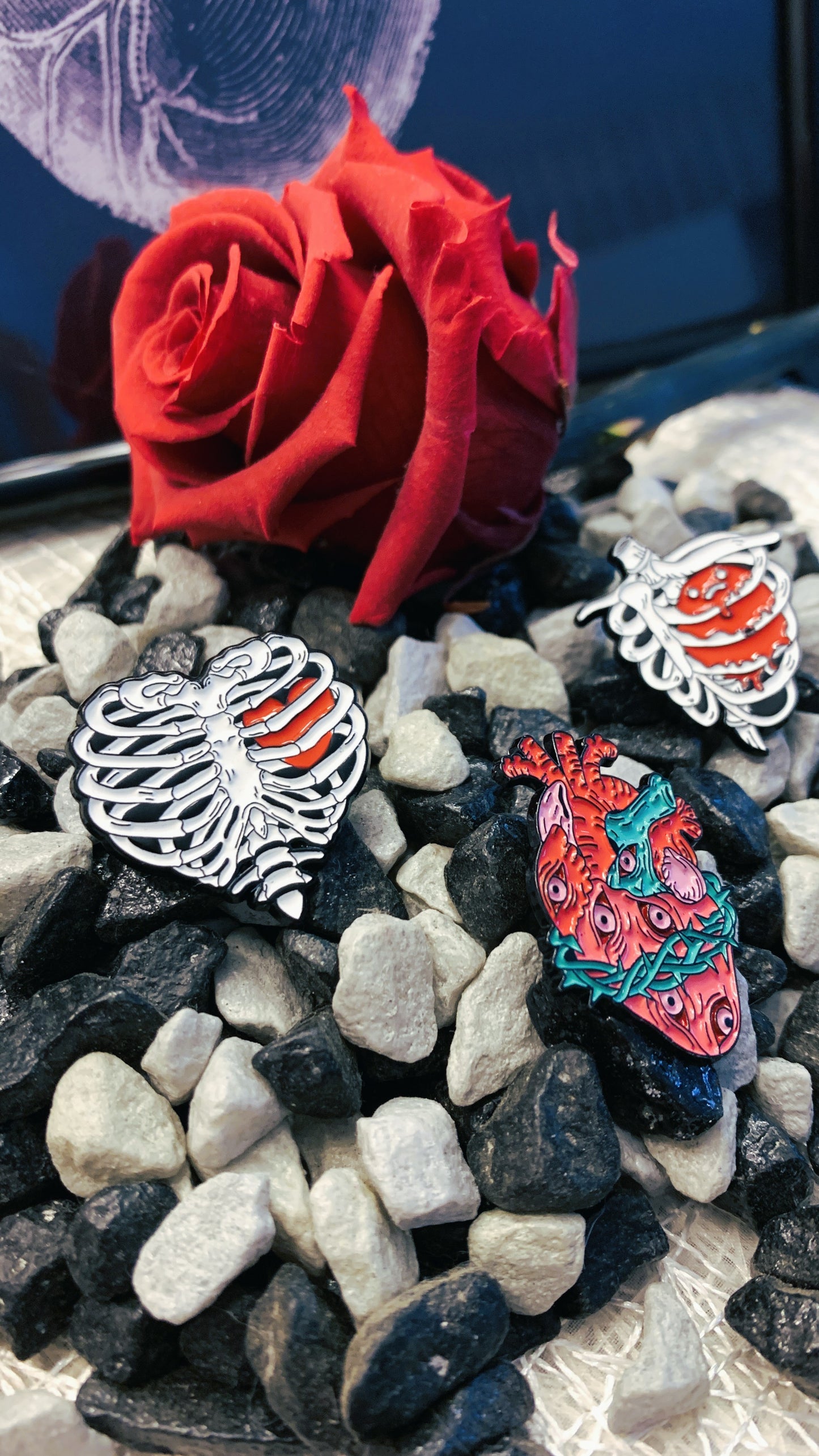 Set de 3 Pins Anatómicos de Corazón & Tórax | Anatomical Heart & Ribcage Pin Set 1:1 Limited Edition