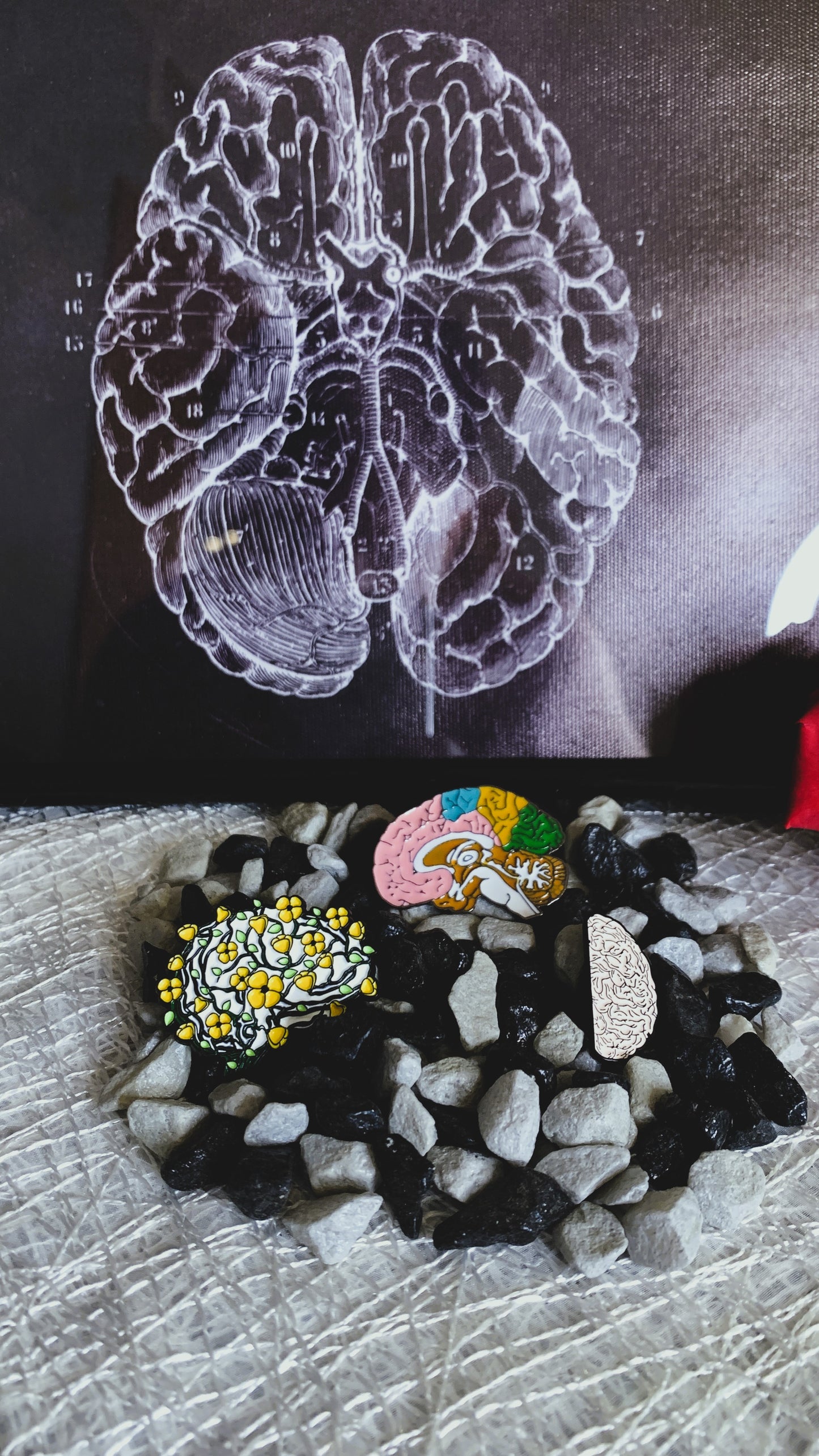 Pins „Innere Organe“ | Emaille-Pin-Kollektion „Innere Organe“ – Limitierte Auflage (1:1) | MedPins