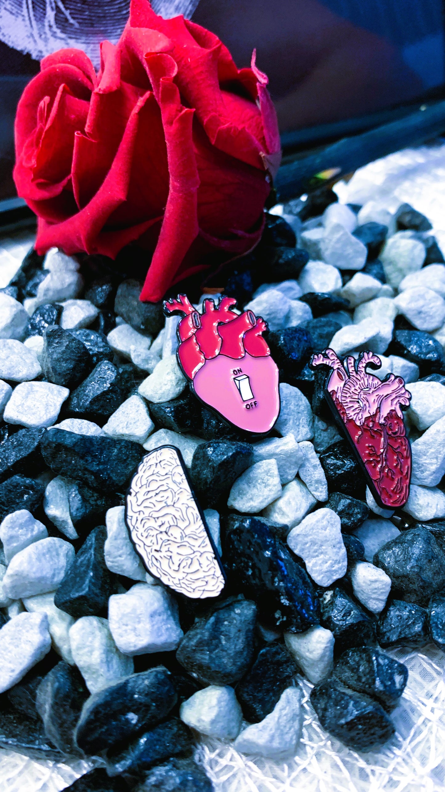 Set de 3 Pins de Anatomía Cerebro & Corazón | Brain & Heart Anatomy Pin Set 1:1 Limited Edition