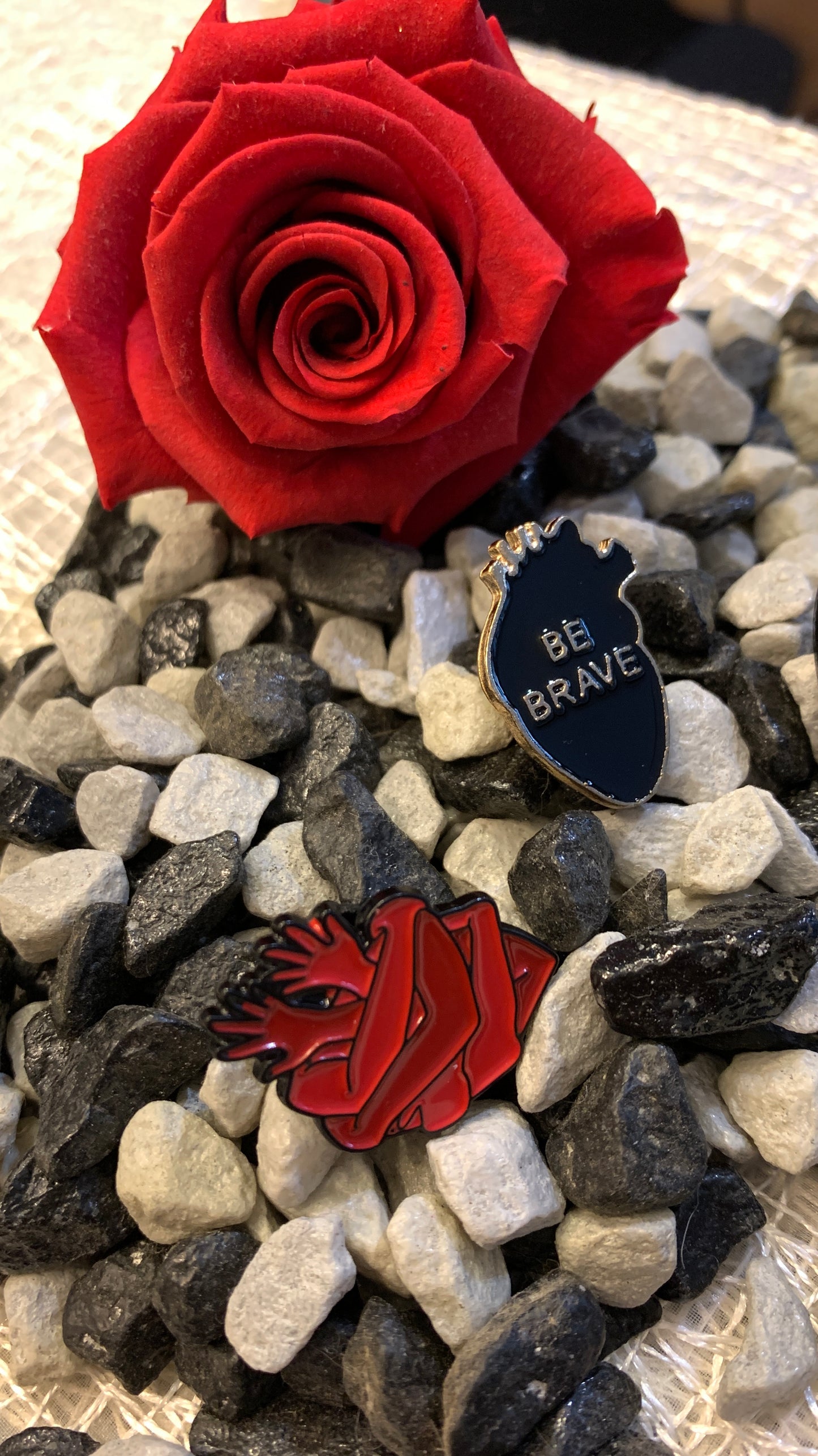 Set de 3 Pins de Corazón Anatómico | Anatomical Heart Pin Set 1:1 Limited Edition