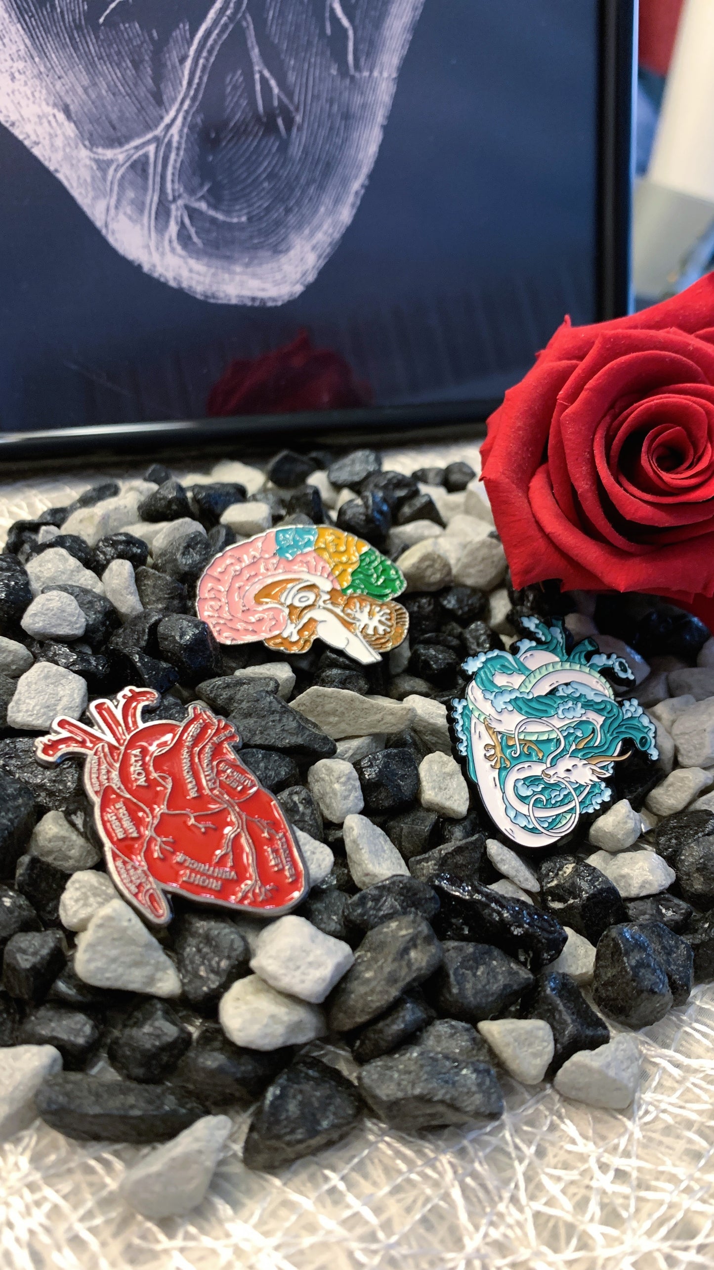 Set Maxi Pins Esmaltados (3 piezas) – Cerebro Anatómico, Corazón & Dragón Japonés | Pins Médicos & Estilo Gótico