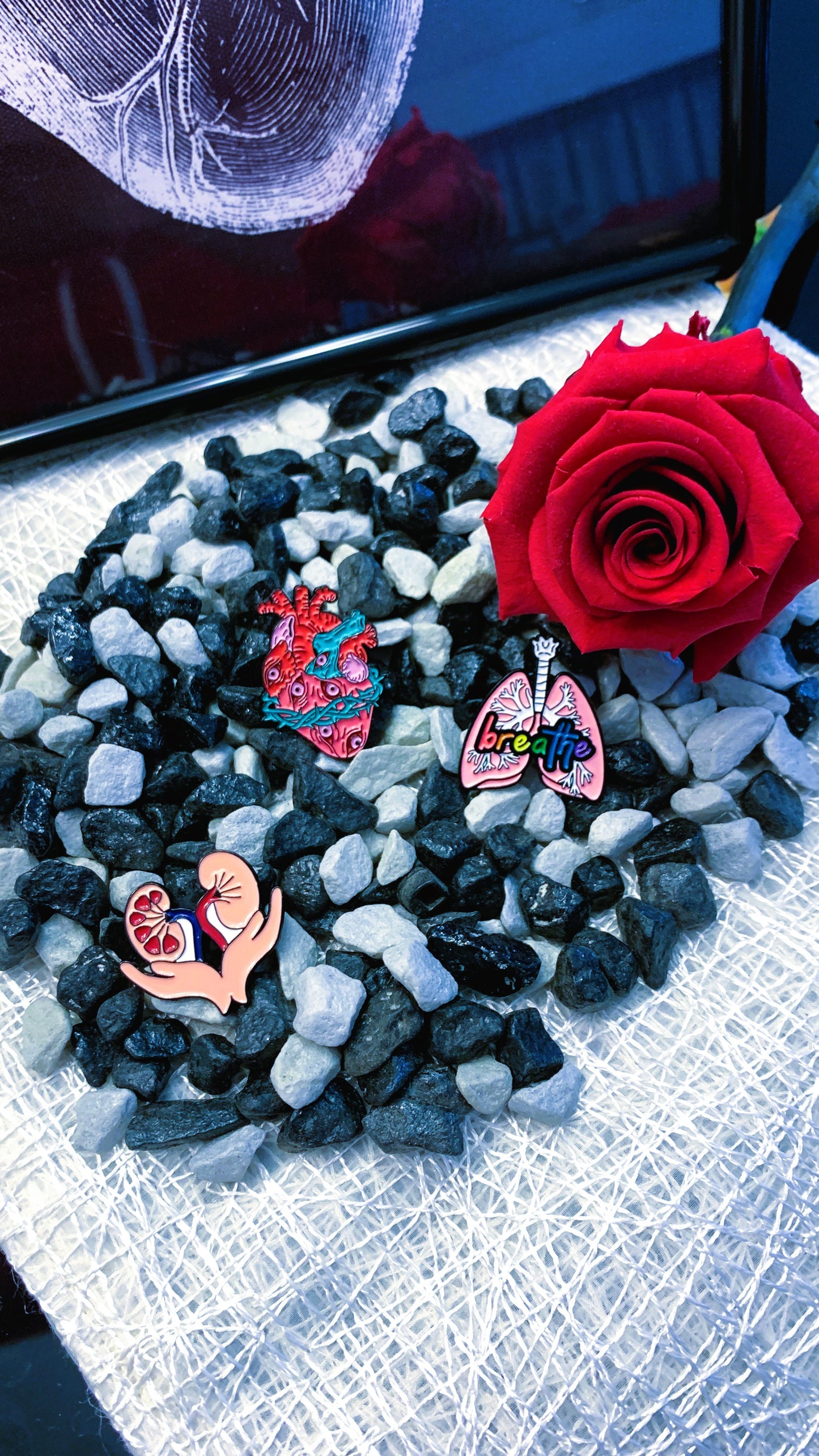 Pack “Vital Balance” | Heart of Eyes + Lungs “Breathe” + Stomach Enamel Pin Set 1:1 Limited Edition