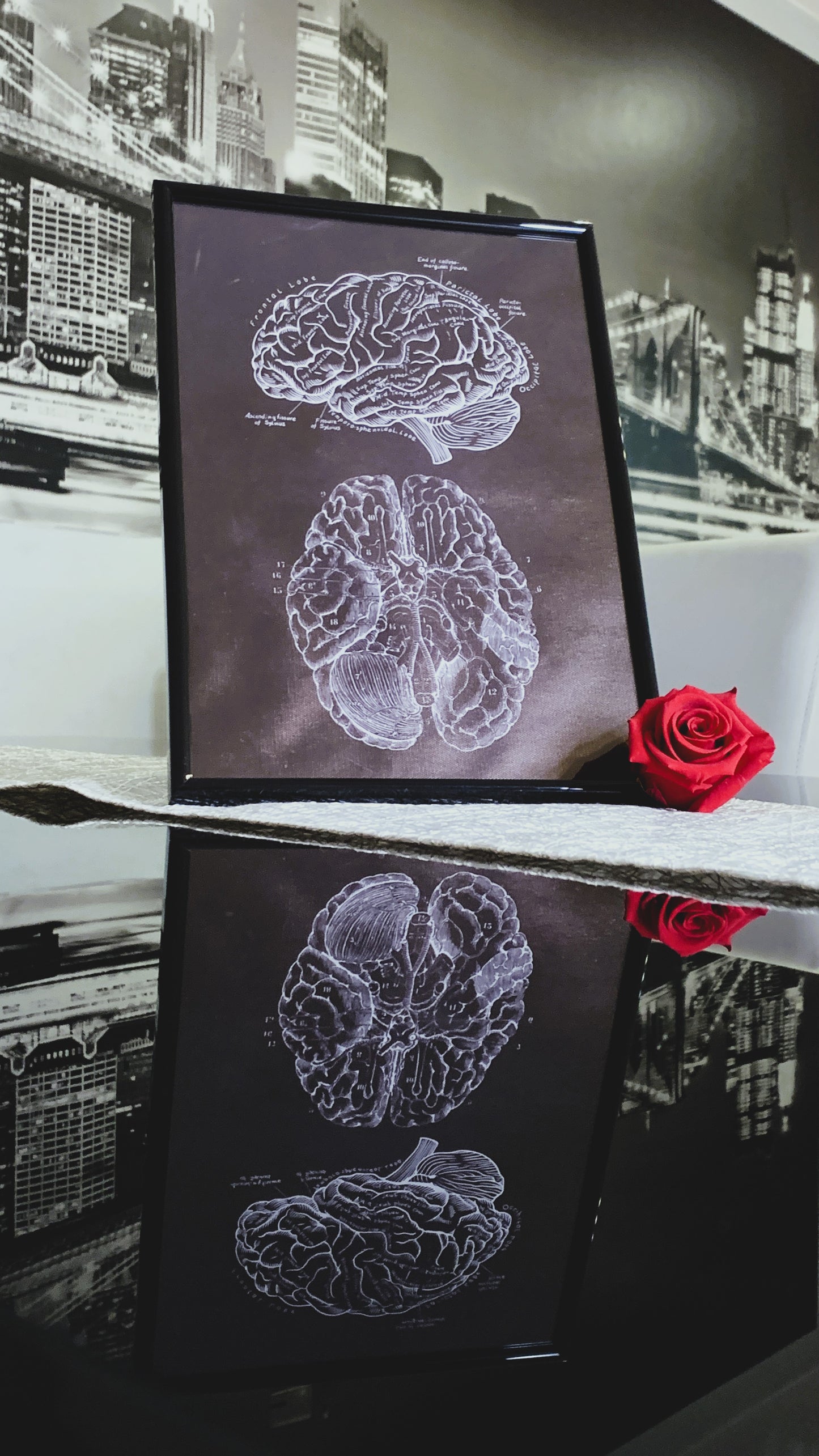 Póster Vintage de Anatomía Cerebral con Marco – Arte Médico Elegante para Doctores, Enfermeras & Estudiantes | Regalo Único de Neurociencia