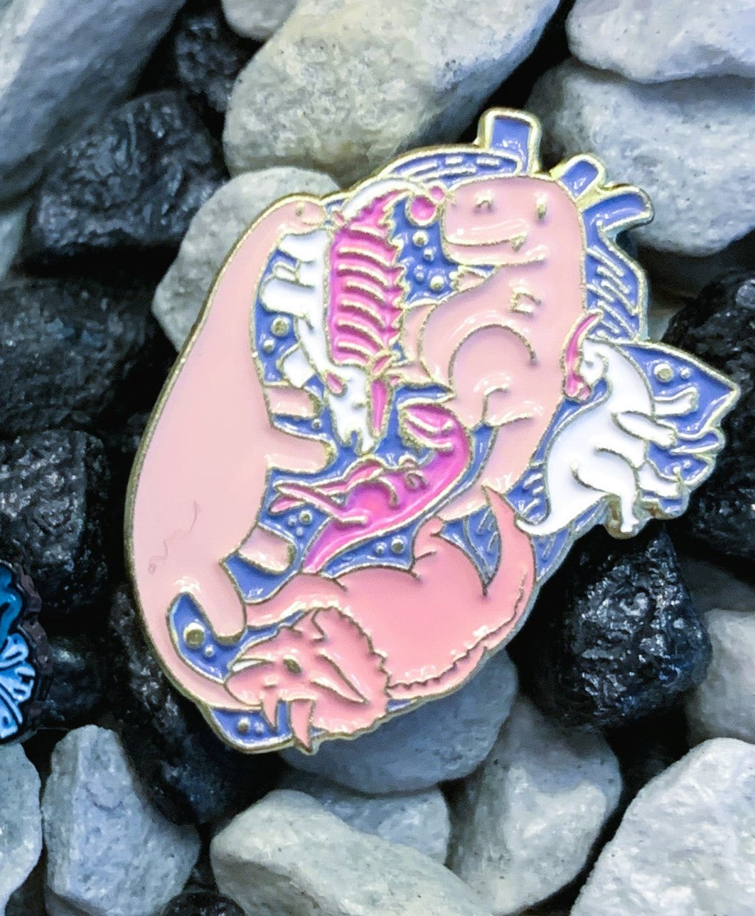 Pins „Innere Organe“ | Emaille-Pin-Kollektion „Innere Organe“ – Limitierte Auflage (1:1) | MedPins