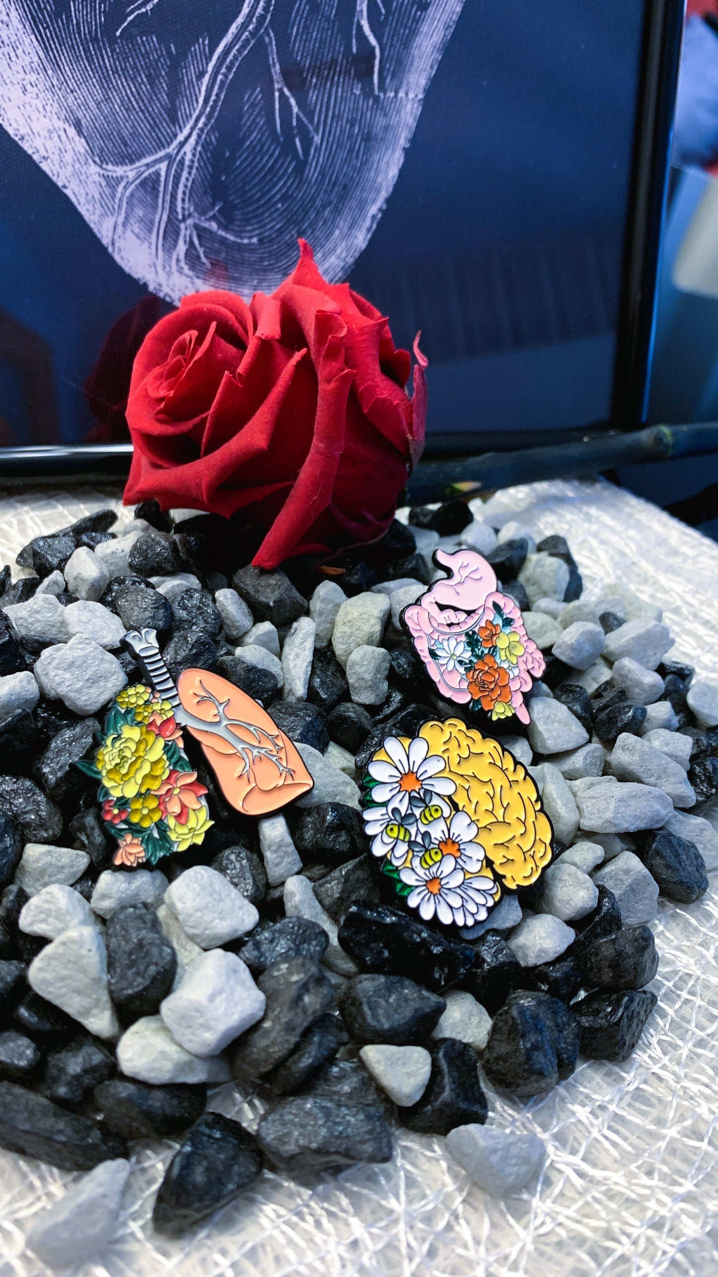 Set de 3 Pins Anatómicos “Vital Bloom” | Surreal Anatomy Pin Set 1:1 Limited Edition