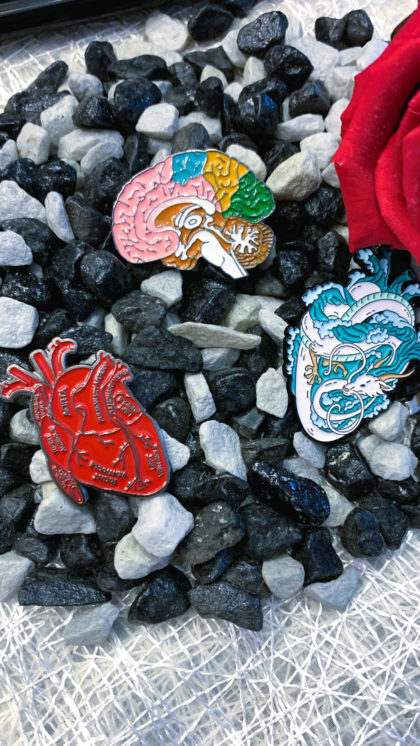 Set Maxi Pins Esmaltados (3 piezas) – Cerebro Anatómico, Corazón & Dragón Japonés | Pins Médicos & Estilo Gótico