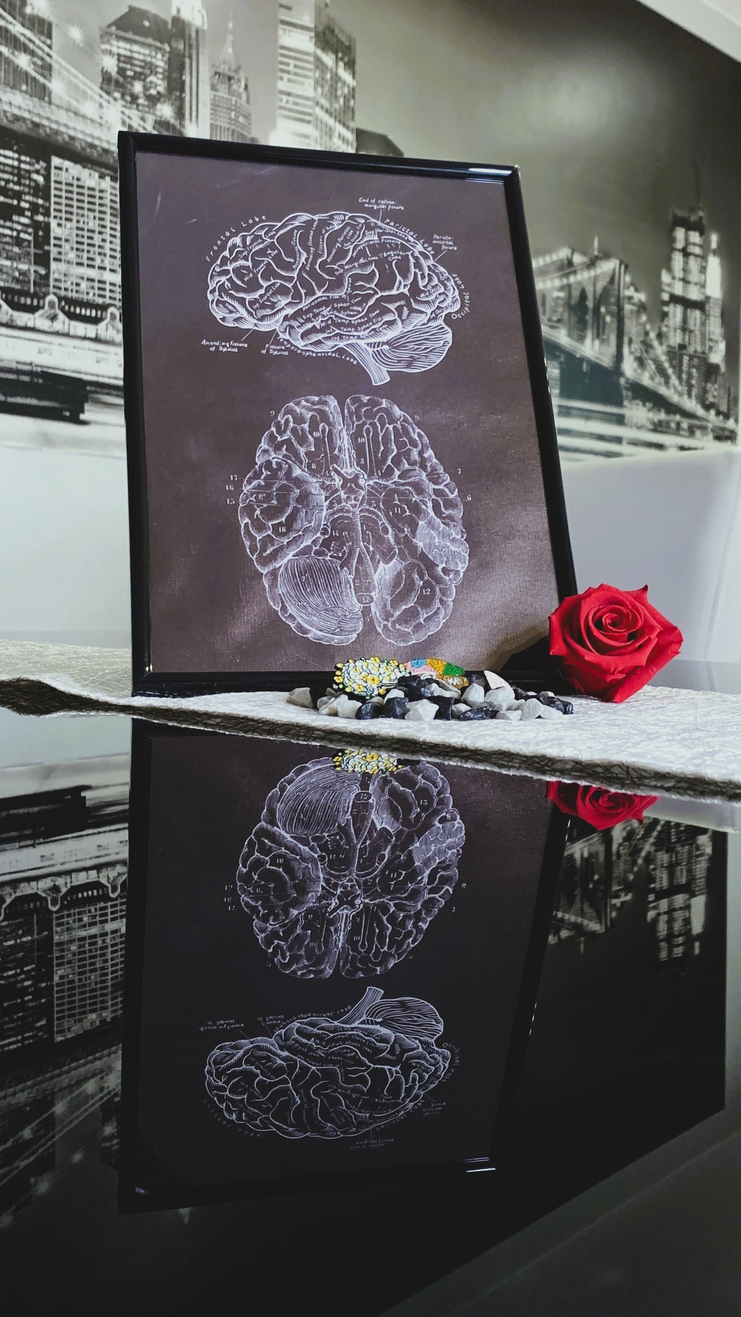 Bundle Vintage de Anatomía Cerebral – Póster en Marco + Set de 3 Pins Esmaltados | Arte Médico & Regalo Estudiantes de Neurociencia