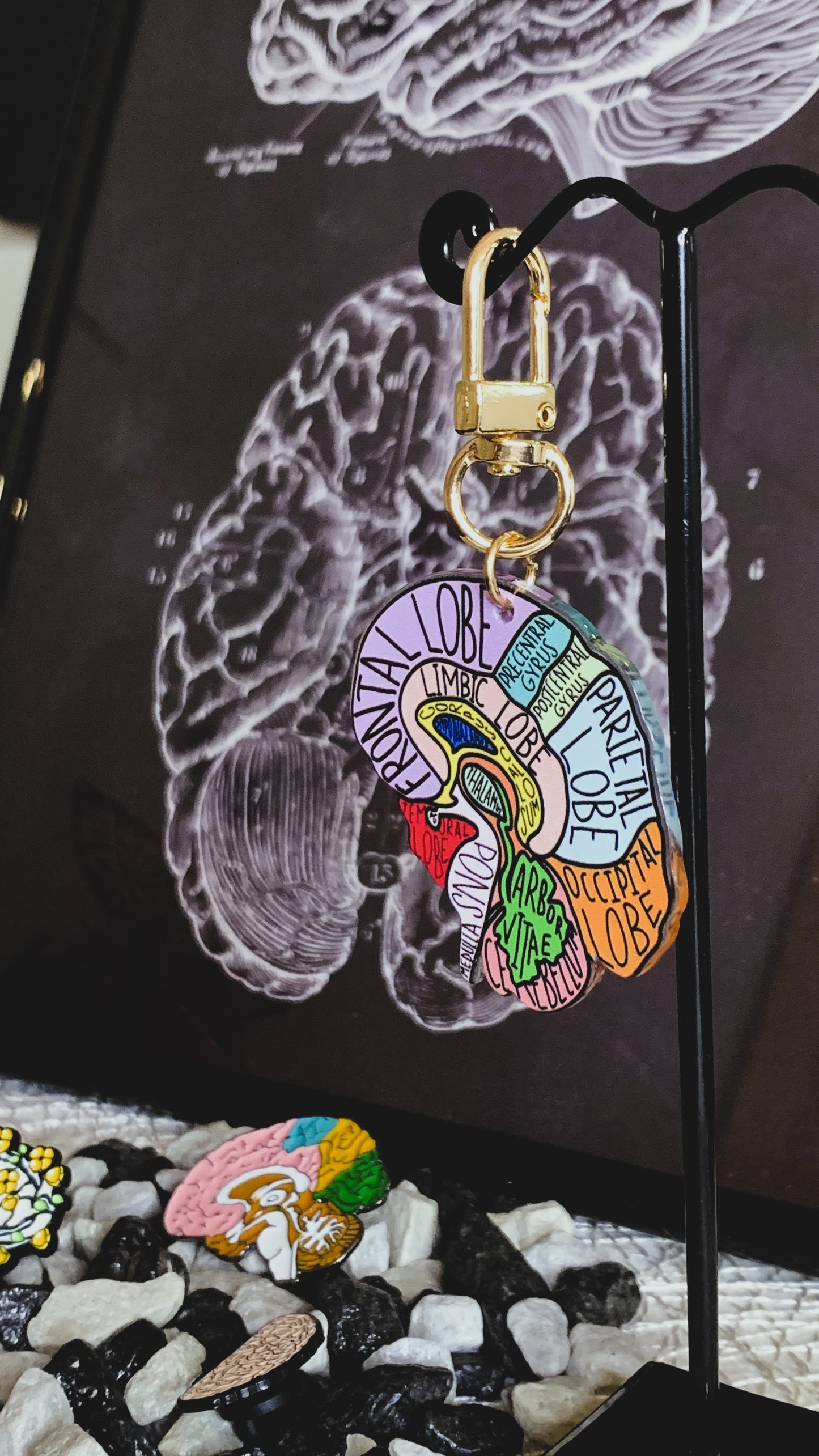 Bundle de Anatomía Cerebral – 3 Pins Esmaltados + Póster en Marco 21x30 cm + Llavero | Regalo Anatómico Gótico para Estudiantes de Medicina & Psicología