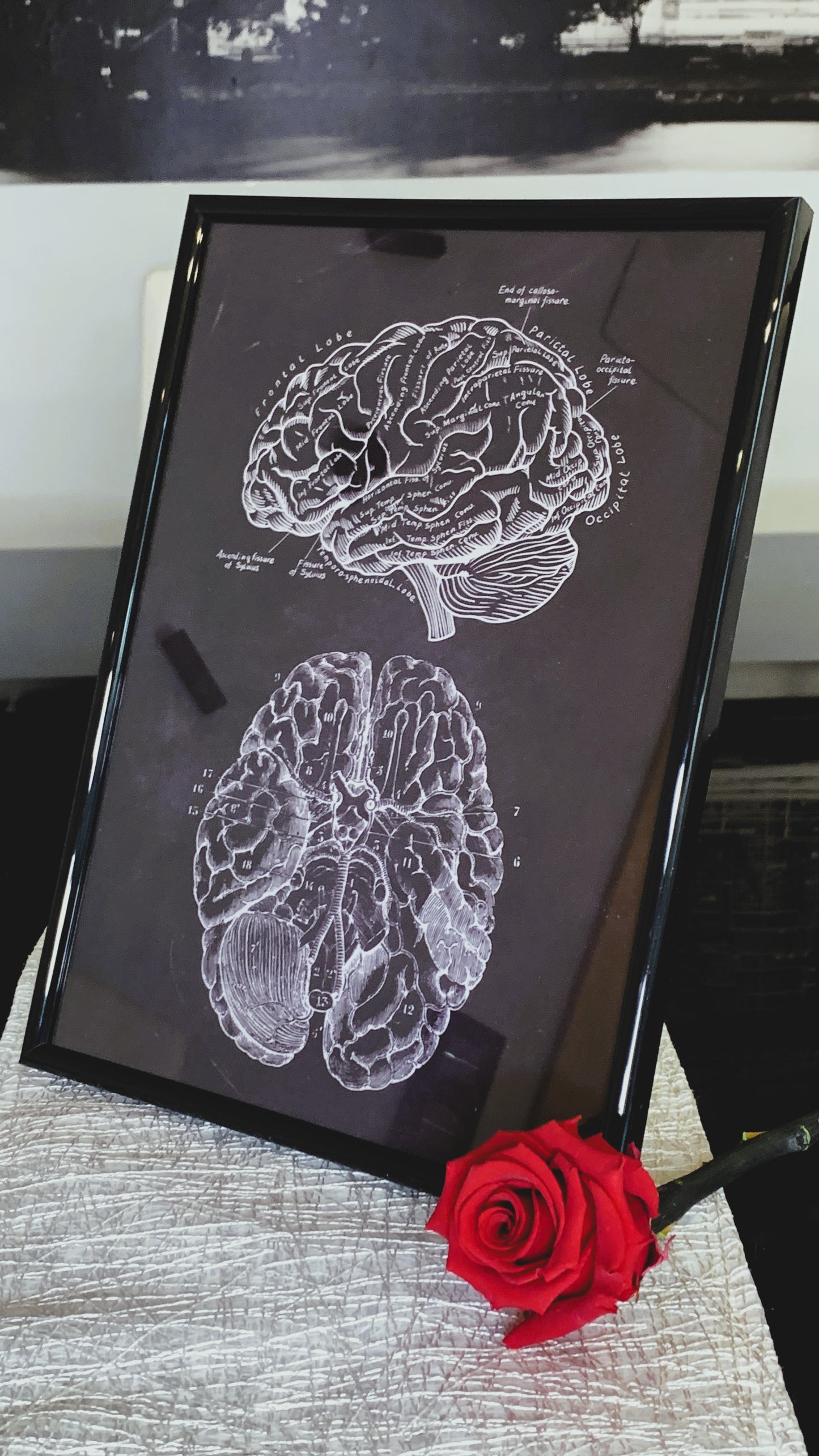 Póster Vintage de Anatomía Cerebral con Marco – Arte Médico Elegante para Doctores, Enfermeras & Estudiantes | Regalo Único de Neurociencia