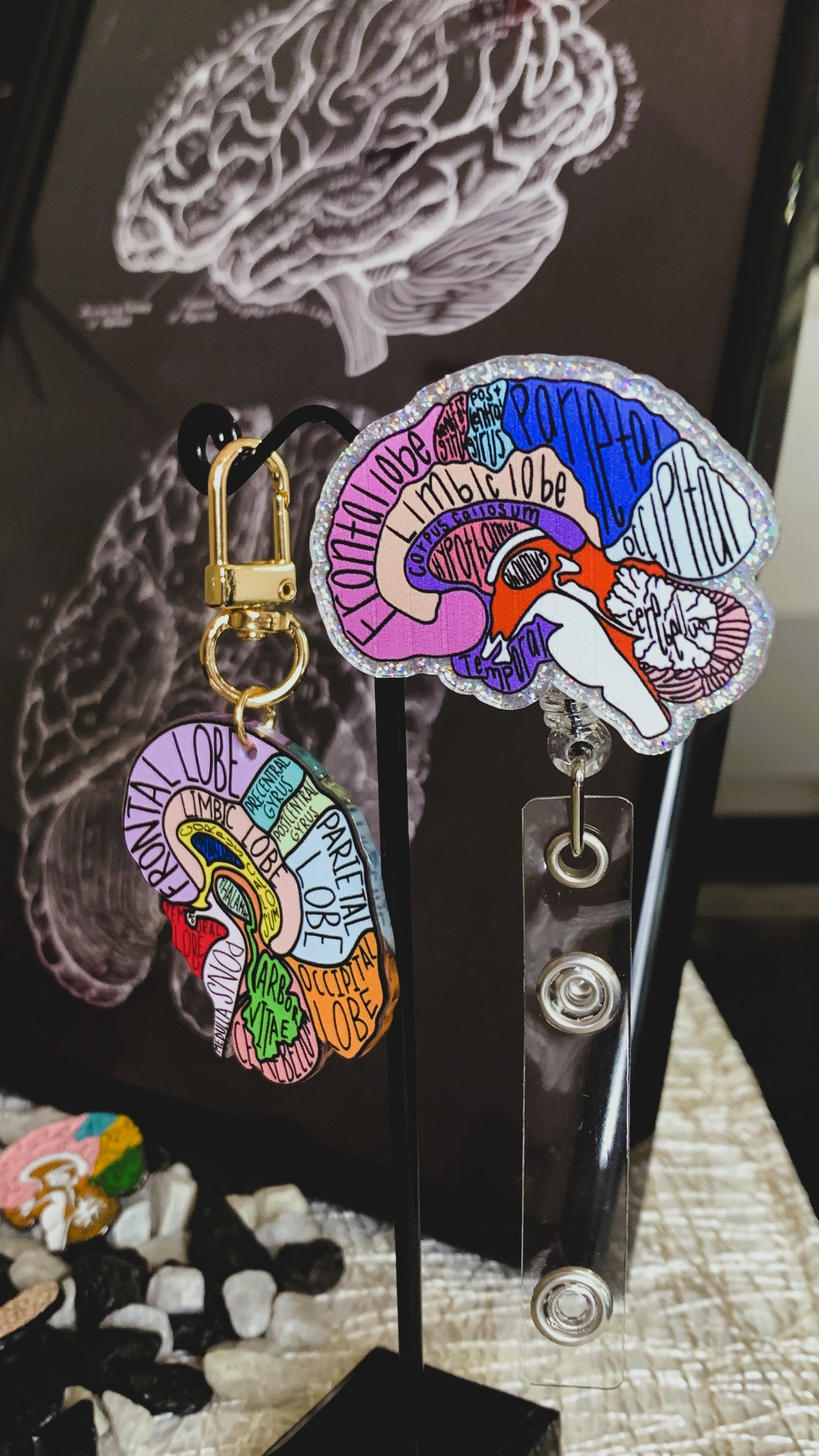 Set de Lujo Anatomía Cerebral – Edición Limitada (1/1) | Porta-Credencial Retráctil, Llavero, Póster en Marco & 3 Pins Esmaltados