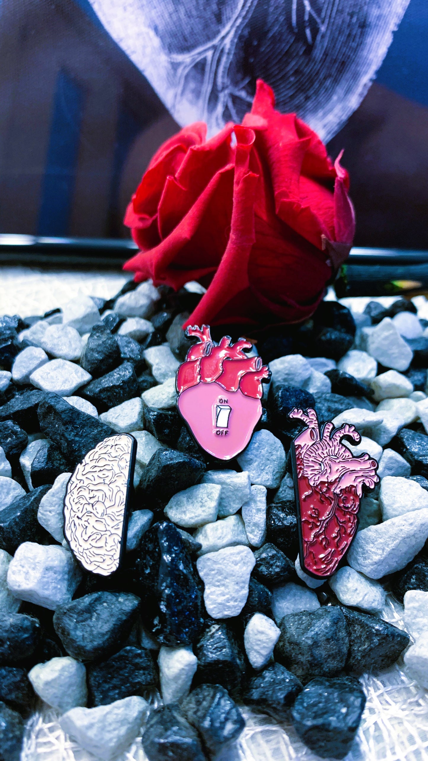 Set de 3 Pins de Anatomía Cerebro & Corazón | Brain & Heart Anatomy Pin Set 1:1 Limited Edition