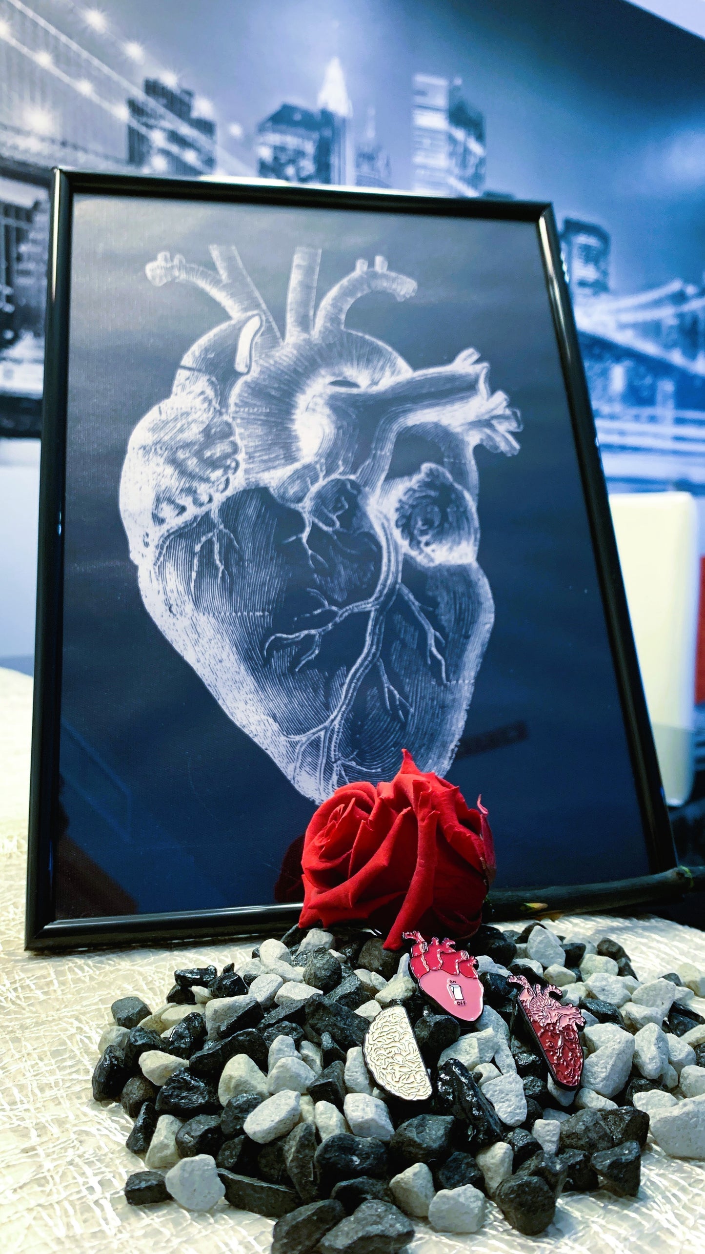 Set de 3 Pins de Anatomía Cerebro & Corazón | Brain & Heart Anatomy Pin Set 1:1 Limited Edition