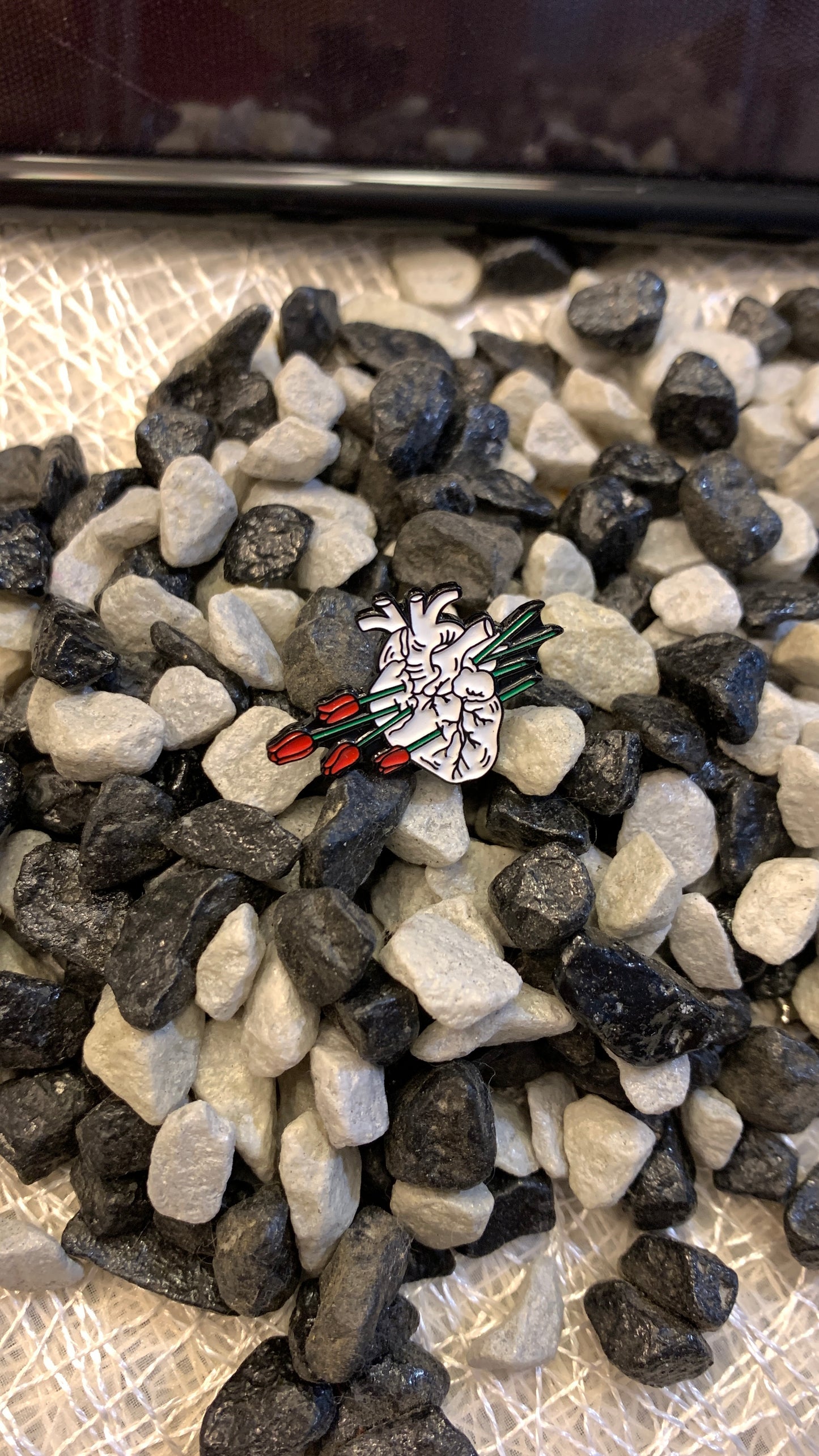 Set de Pins Anatómicos Góticos (3 piezas) – Corazón y Caja Torácica de Halloween | Joyería Espeluznante de Anatomía, Regalo para Estudiantes de Medicina