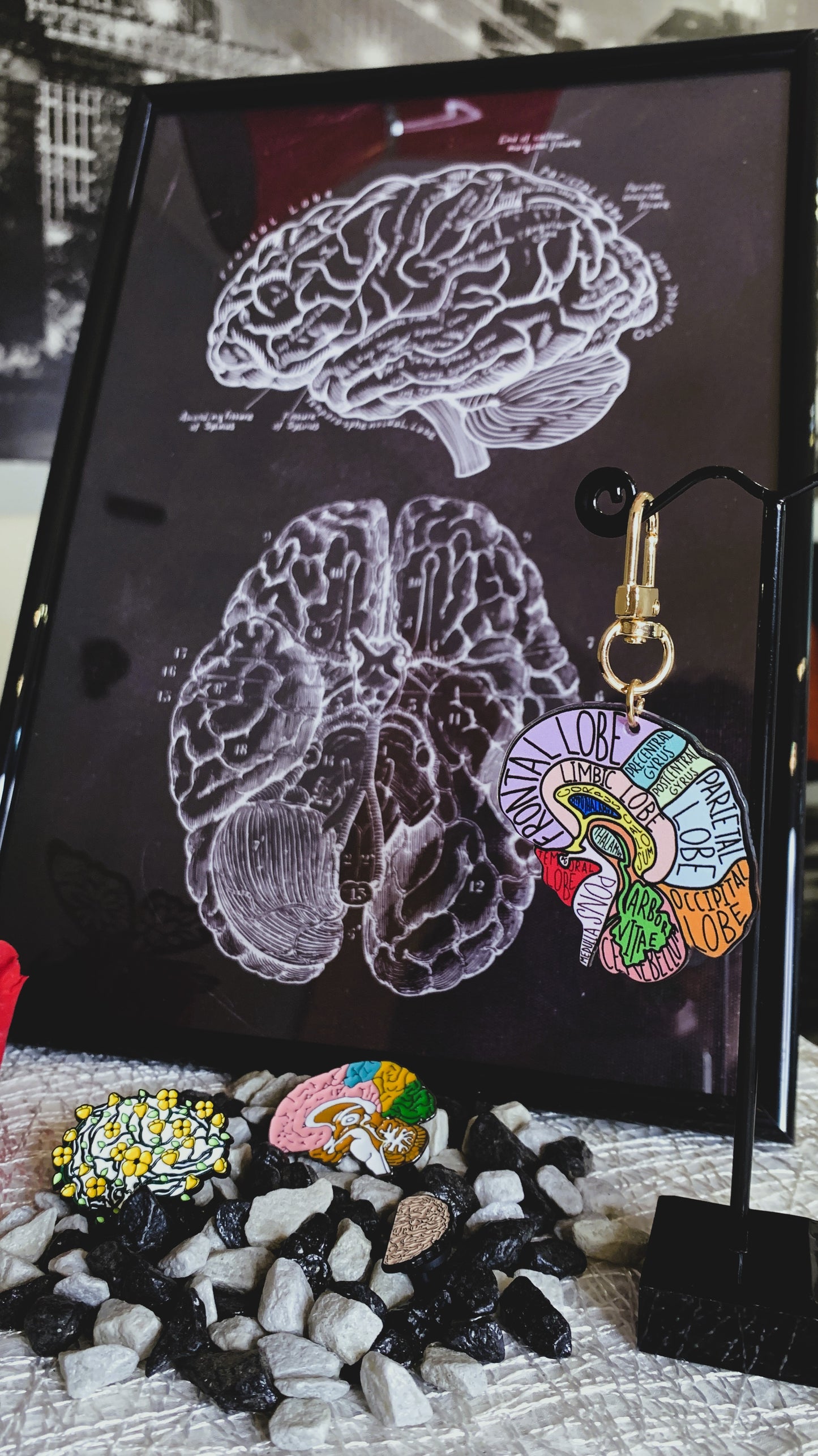 Bundle de Anatomía Cerebral – 3 Pins Esmaltados + Póster en Marco 21x30 cm + Llavero | Regalo Anatómico Gótico para Estudiantes de Medicina & Psicología