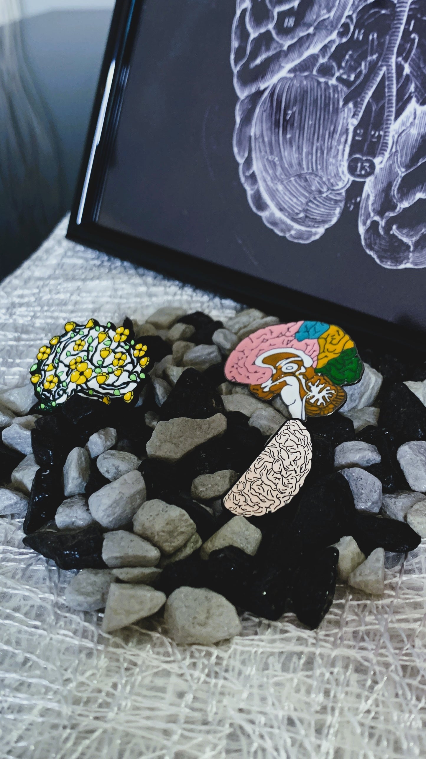 Set de Pins Cerebro (3 piezas) – Pins Anatómicos Góticos para Estudiantes de Medicina, Psicología, Enfermería & Amantes de la Ciencia