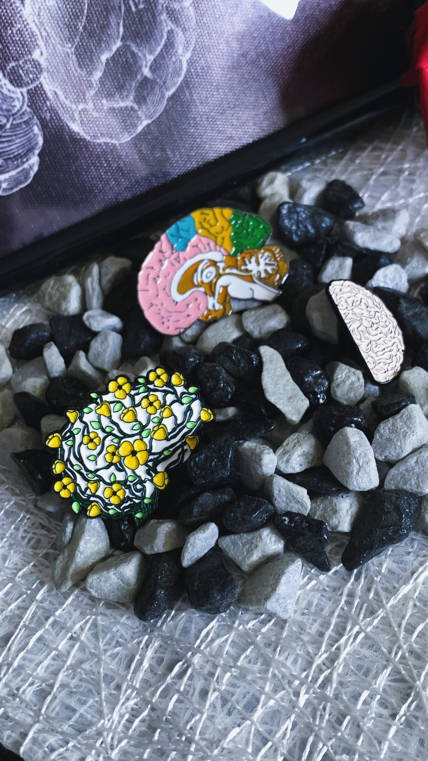 Pins „Innere Organe“ | Emaille-Pin-Kollektion „Innere Organe“ – Limitierte Auflage (1:1) | MedPins