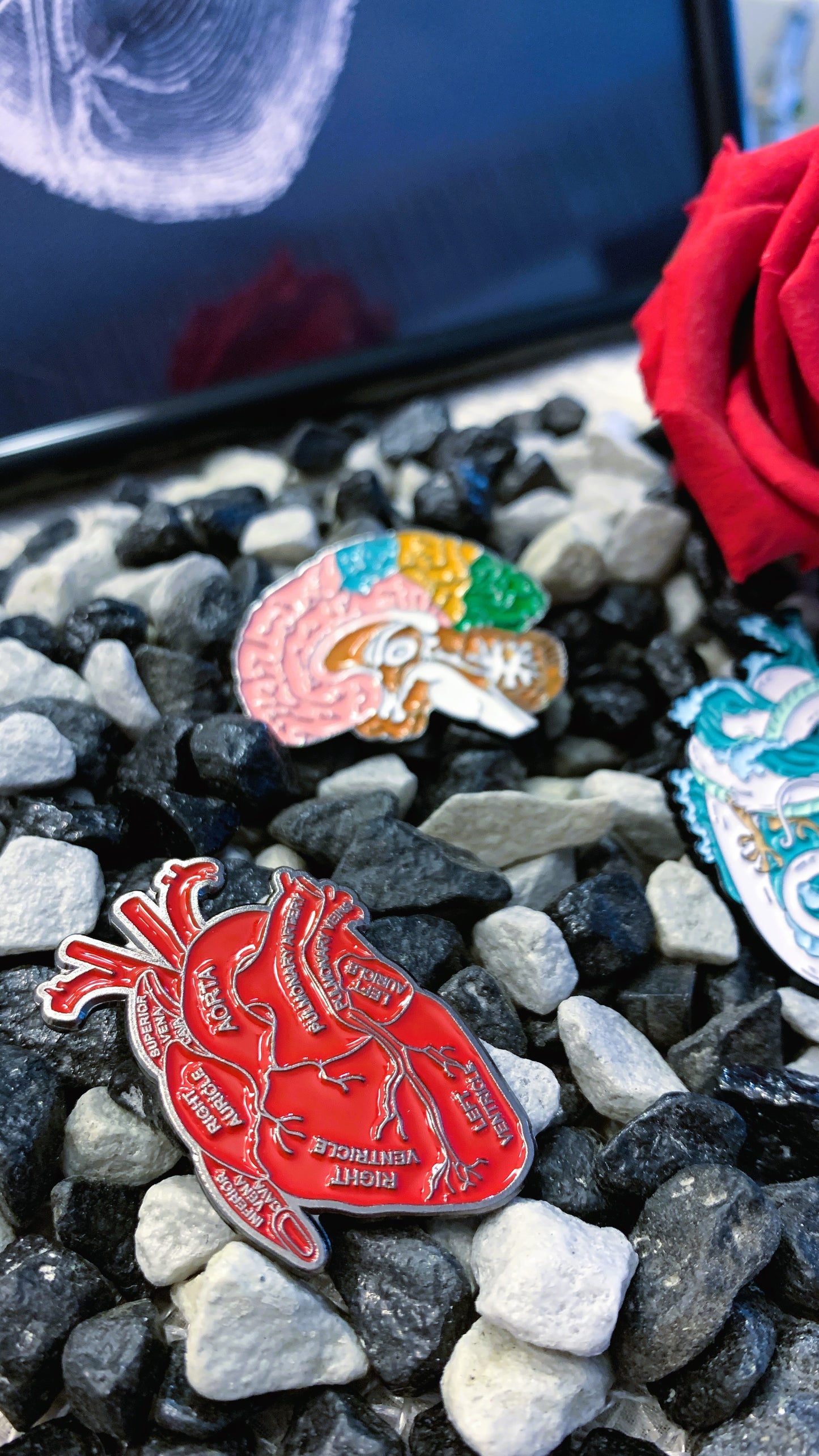 Set Maxi Pins Esmaltados (3 piezas) – Cerebro Anatómico, Corazón & Dragón Japonés | Pins Médicos & Estilo Gótico