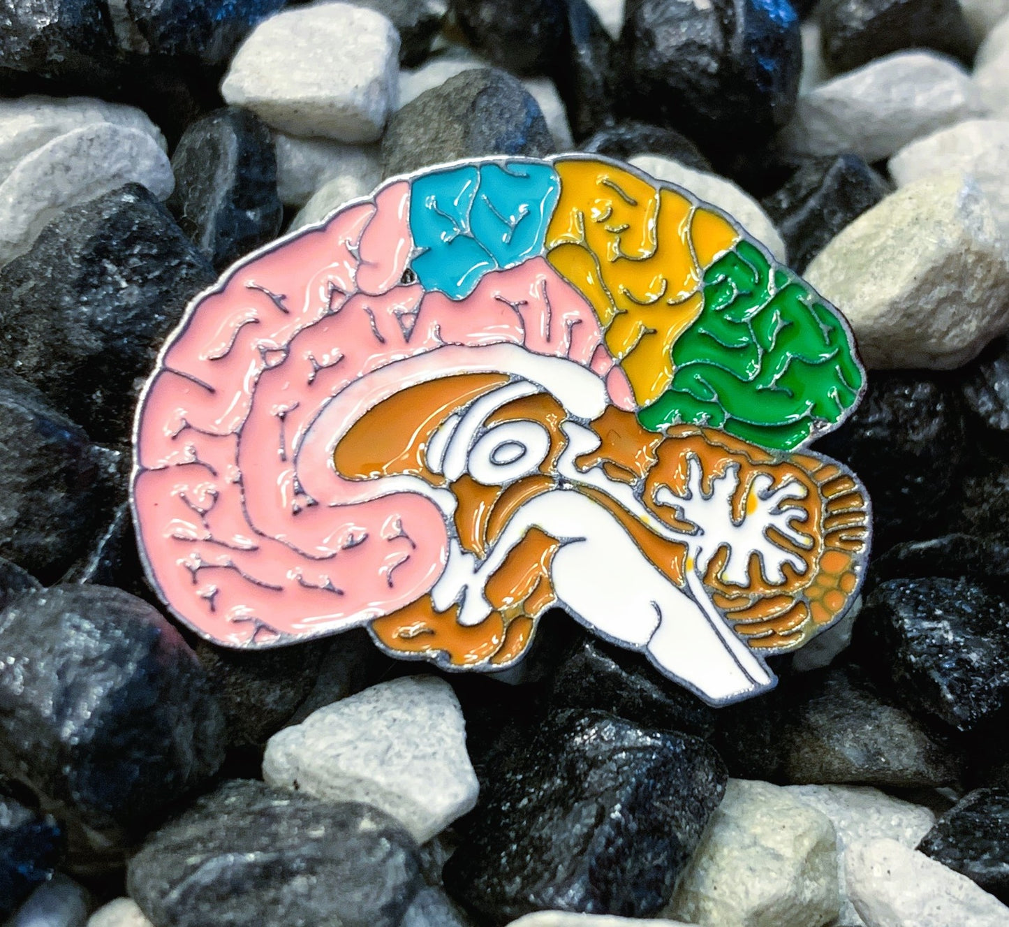 Pins „Innere Organe“ | Emaille-Pin-Kollektion „Innere Organe“ – Limitierte Auflage (1:1) | MedPins