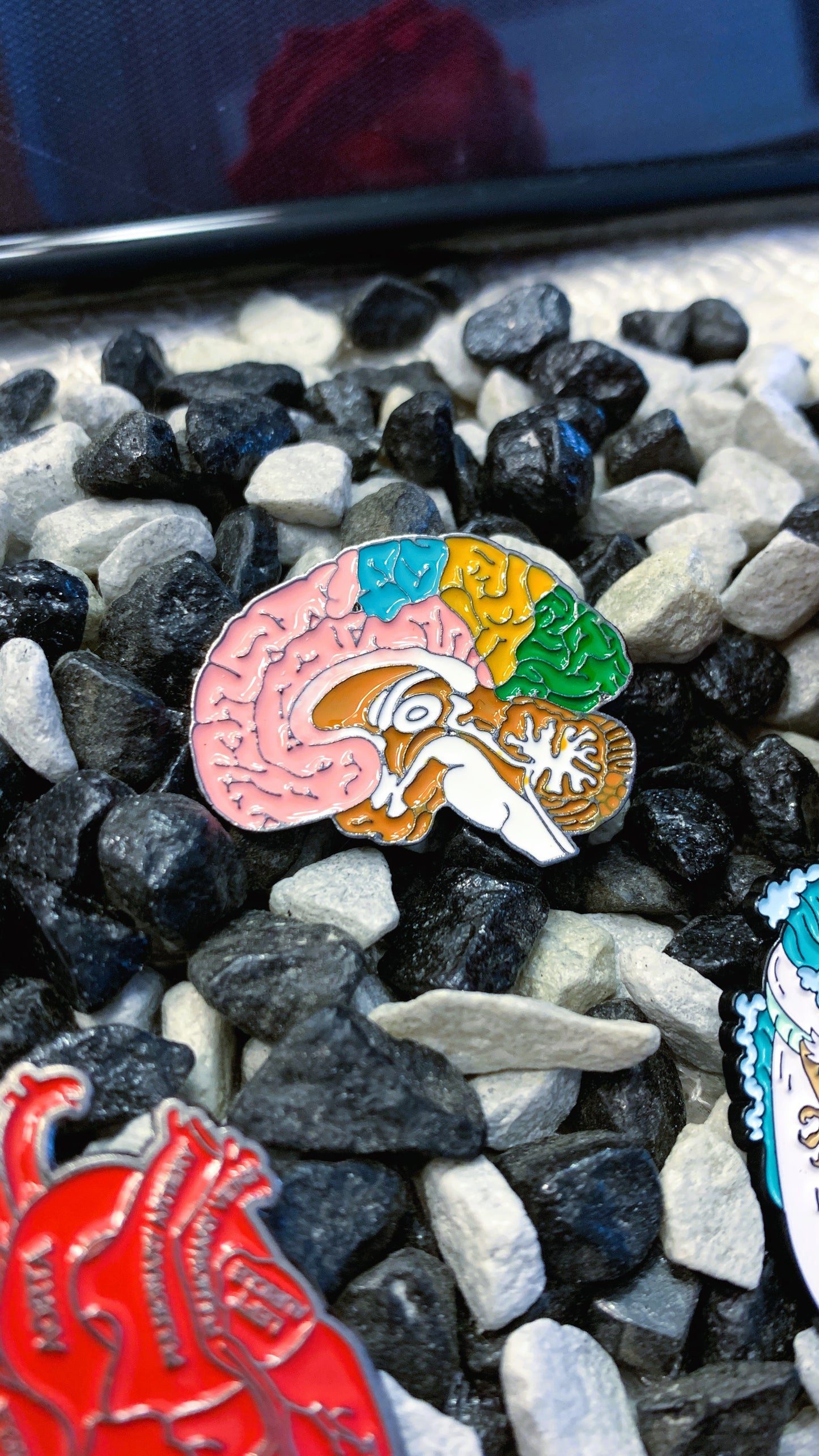 Set Maxi Pins Esmaltados (3 piezas) – Cerebro Anatómico, Corazón & Dragón Japonés | Pins Médicos & Estilo Gótico