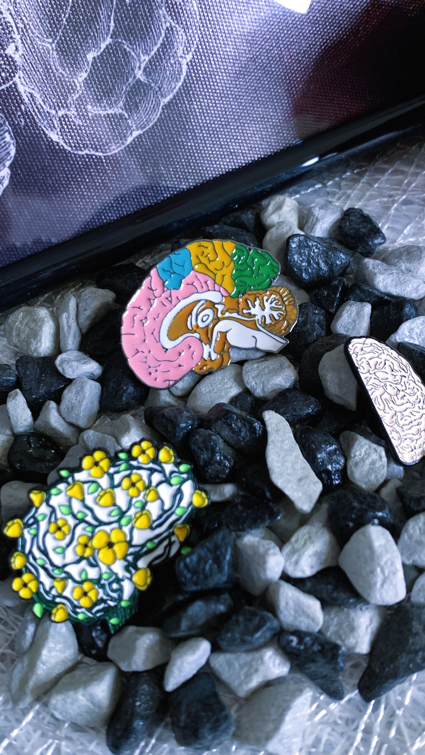 Set de Pins Cerebro (3 piezas) – Pins Anatómicos Góticos para Estudiantes de Medicina, Psicología, Enfermería & Amantes de la Ciencia