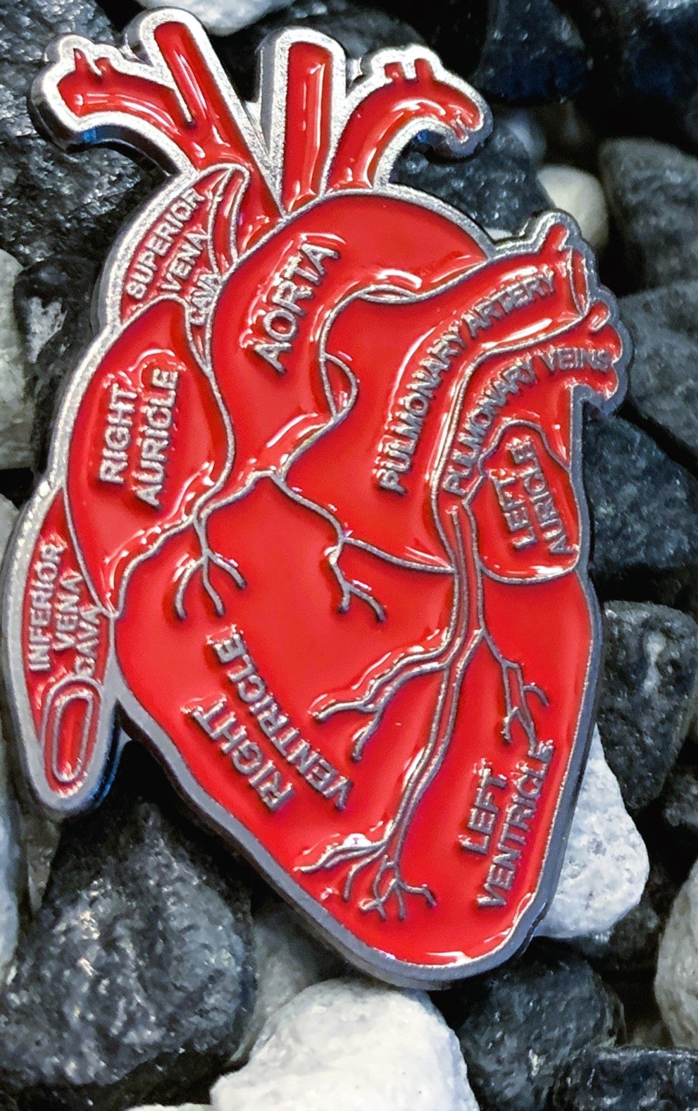 Pins „Innere Organe“ | Emaille-Pin-Kollektion „Innere Organe“ – Limitierte Auflage (1:1) | MedPins