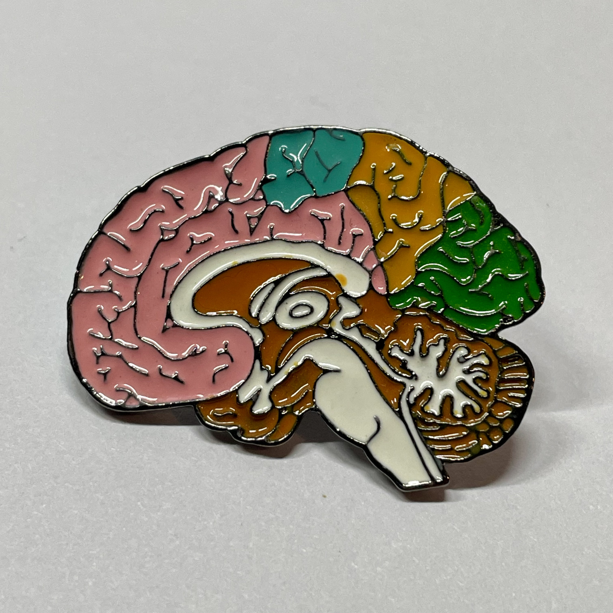Pin Cerebro Anatómico Multicolor de MedPins
